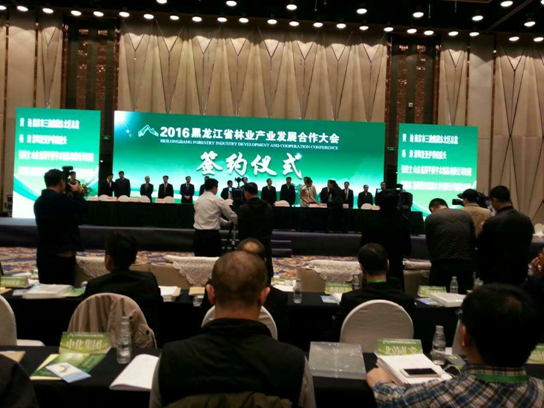 bjl官网登录831999碳买卖业界影响力较强，副总田卫然接受黑龙江广播电视台采访