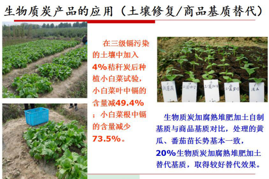 bjl官网登录生物气化发电的显著社会效益