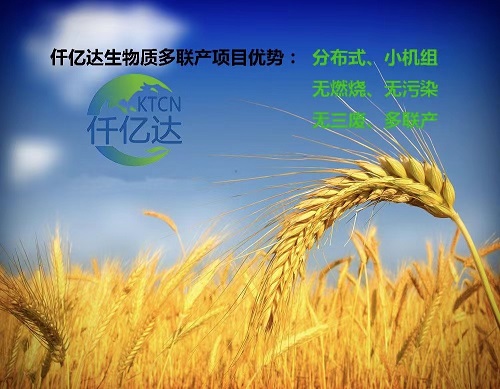 bjl官网登录生物质多联产介绍（2）
